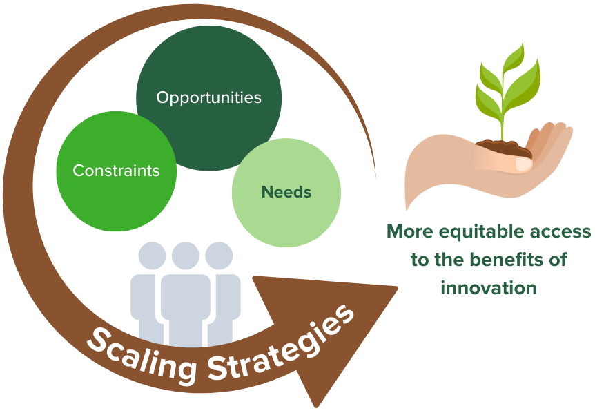 Scaling Strategies Graphic